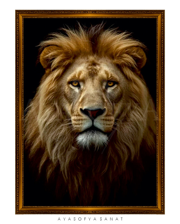 Aslan Serisi No. 23