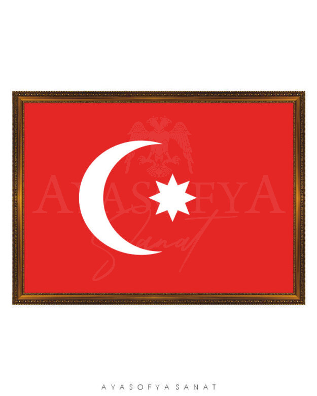 Devlet Sancakları Serisi No. 113