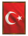 Türk Bayrağı No. 151