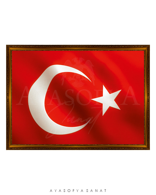 Türk Bayrağı No. 40
