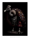 Vulture – K106M