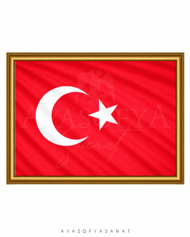 Türkiye Cumhuriyeti Bayrağı